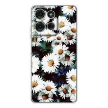 Чехол с картинкой (Стильные) для Мото Джи56 - (AlphaPrint) (Ромашки)