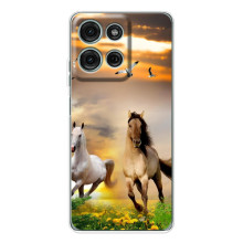 Чехлы с Лошадью дляMotorola MOTO G56 (VPrint) (Лошадки)