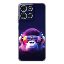 Чехол с Обезьянами Motorola MOTO G56 - (AlphaPrint) (Стильная обезьяна)