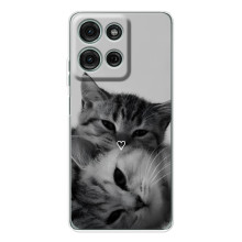 Чохол з малюнком кіт на Motorola MOTO G56 (Пара котів)