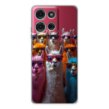 Чехол с принтом стильные животные для Мото Джи56 (Ламы в очках)