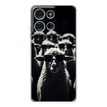 Чехол с принтом стильные животные для Мото Джи56 (Овечка в очках)