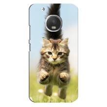 Чохли з Котиками для Motorola MOTO G5s (VPrint) (Прижок кота)