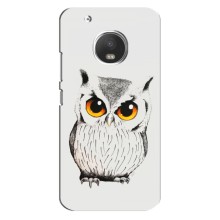 Чохол з пташками на Motorola MOTO G5s (VPrint) (Мила Сова)