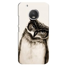 Чохол з пташками на Motorola MOTO G5s (VPrint) (Сова)
