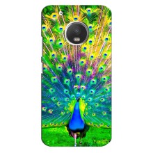Чохол з пташками на Motorola MOTO G5s (VPrint) (Яскравий Павлин)