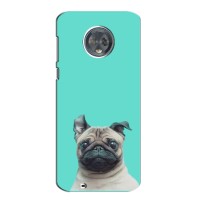 Бампер для Motorola Moto G6 Plus с картинкой "Песики" (Собака Мопс)