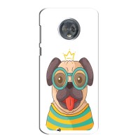 Бампер для Motorola Moto G6 Plus с картинкой "Песики" (Собака Король)