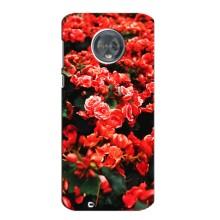 Чохли з квітами для Motorola MOTO G6 (VPrint) (Квіти червоні)