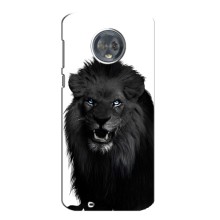 Чехлы с картинками животных Motorola MOTO G6