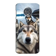 Чохол з Хаскі Motorola Moto G6 - (AlphaPrint) (Селфі Хаскі)