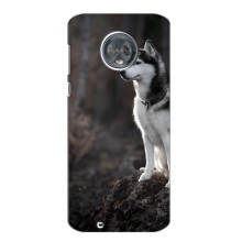 Чохол з Хаскі Motorola Moto G6 - (AlphaPrint) (Вірний собака)