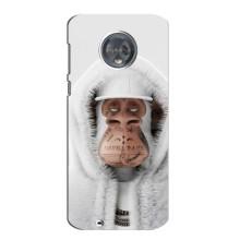 Чехлы с Обезьянами NFT для Motorola MOTO G6 (AlphaPrint) – обезьяна NFT в тату