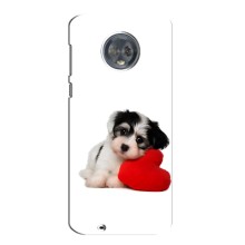 Чохли з собаками для Motorola MOTO G6 (VPrint) (Песик)