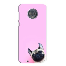 Чохли з собаками для Motorola MOTO G6 (VPrint) (Смішна собака)