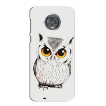 Чохол з пташками на Motorola MOTO G6 (VPrint) (Мила Сова)