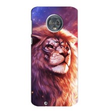 Чохол з картинкою ЛЕВ для Motorola MOTO G6 (VPrint) (Красочний Лев)
