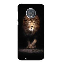 Чохол з картинкою ЛЕВ для Motorola MOTO G6 (VPrint) (Лев)