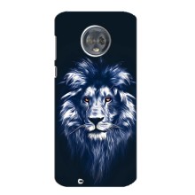 Чохол з картинкою ЛЕВ для Motorola MOTO G6 (VPrint) (Синій Лев)