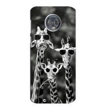 Силіконовий чохол з КАРТИНКАМИ літо для Motorola MOTO G6 (AlphaPrint) (Жирафи в окулярах)