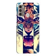 Чехлы с изображением разных животных для Motorola MOTO G60 (Яркий Тигр)