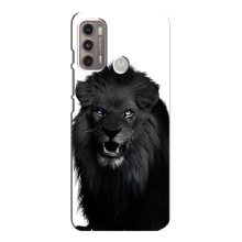 Чехлы с картинками животных Motorola MOTO G60