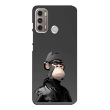 Чехлы с Обезьянами NFT для Motorola MOTO G60 (AlphaPrint) (стильная обезьяна NFT)