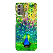 Чехол с птицами на Motorola MOTO G60 (VPrint) (Яркий Павлин)