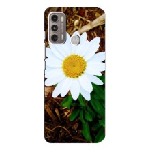 Чехол с ромашками на Motorola MOTO G60 – Белая ромашка