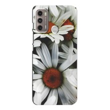 Чехол с ромашками на Motorola MOTO G60 – Цветы Ромашки