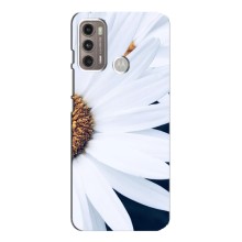 Чехол с ромашками на Motorola MOTO G60 – Пол ромашки