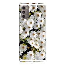 Чехол с ромашками на Motorola MOTO G60