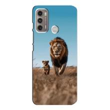 Чехол Король лев на Мото G60 – Мусафа и Симба