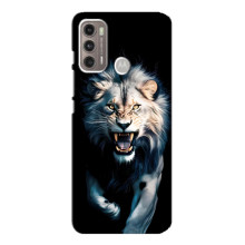 Чехол с картинкой «Хищники» для Motorola MOTO G60 – Лев