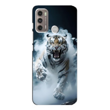 Чехол с картинкой «Хищники» для Motorola MOTO G60 – Тигр