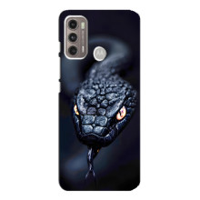 Чехол с картинкой «Хищники» для Motorola MOTO G60 – Змея
