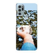 Чехлы с изображением разных животных для Motorola MOTO G60s (Ежик на руках)