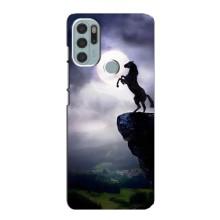 Чехлы с изображением разных животных для Motorola MOTO G60s (Лошадь)