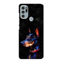 Чехлы с картинками животных Motorola MOTO G60s (Собака)