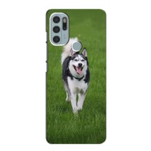 Чехол с Хаски для Motorola Moto G60s - (AlphaPrint) (Радостный Хаски)