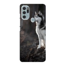 Чехол с Хаски для Motorola Moto G60s - (AlphaPrint) (Верный пес)