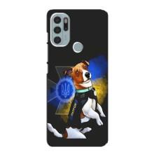 Чехлы с картинкой собаки Патрон для Motorola MOTO G60s (AlphaPrint) (Патрон собачка)