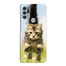 Чехлы с Котиками для Motorola MOTO G60s (VPrint) (Прыжок кота)