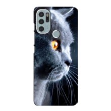 Чехлы с Котиками для Motorola MOTO G60s (VPrint) (Серый Кот)