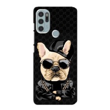 Чехлы с крутыми принтами для Motorola MOTO G60s - (PREMIUMPrint) (Стильная собака)