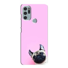 Чехлы с собаками для Motorola MOTO G60s (VPrint) (Смешная собака)