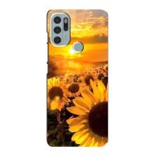 Чехол с Цветами для Motorola MOTO G60s (поле подсолнухов)
