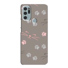 Чехол с рисунком кот на Motorola MOTO G60s (Лапы и усы)
