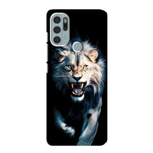 Чехол с картинкой «Хищники» для Motorola MOTO G60s – Лев