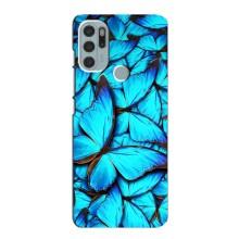 Силиконовый бампер с картинкой животных для Motorola MOTO G60s (Крылья бабочек)